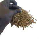 Kit Caixa 500 Parafuso Cabeça Chata Phillips Bicro 3,5x22