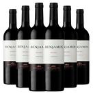 Kit Caixa Fechada 6 Vinhos Benjamin Malbec