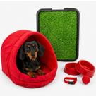 Kit Cama Toca Iglu Médio Pet Sanitário Grama Comedouro Coleira Bolinha