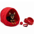 Kit Cama Toca Iglu Pet Médio com Comedouro Coleira Bolinha Fofos