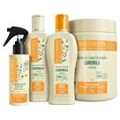 Kit Camomila 1 Shamp 1 Cond 250ml 1 Final 100ml 1 Banho 1kg Bio Extratus