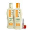 Kit Camomila 1 Shampoo 1 Condicionador 250ml Bio Extratus + Presente Lourre 15ml