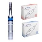 Kit Caneta Dermapen + 20 Cartuchos de 12 e 36 Agulhas