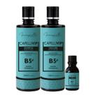 Kit CapelliVim Original Crescimento Acelerado Brilho e Força Kit CapelliVim Original Crescimento Acelerado Brilho e Força