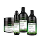 Kit capilar amla força e resistência facinatus