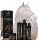 Kit Capilar Bio Instinto Cavalo De Raça Hidratação Profunda