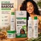 Kit Capilar Bio Instinto Mamona e Babosa Shampoo Condicionador Máscara Creme Kit Capilar Bio Instinto Mamona e Babosa Shampoo Condicionador Máscara Creme