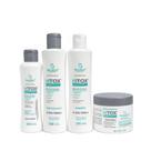Kit Capilar Btox Plástica Capilar com Colágeno e Aminoácidos
