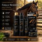 Kit Capilar Cavalo de Raça Bio Instinto Shampoo Condicionador Máscara Crescimento 4 Itens