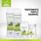 Kit Capilar Mamona & Babosa - Natulife Cosmeticos Kit Capilar Mamona & Babosa - Natulife Cosmeticos