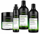 Kit Capilar Profissional Óleo De Amla Facinatus Antiqueda E Quebra 500ml