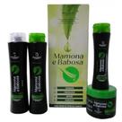 Kit capilar, shampoo condicionador mascara