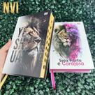 Kit Casal Cristão 2 Bíblias NVI Evangélicas Forte e Corajosa e Yeshua Dourada Letras Médias HDC