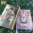 Kit Casal Cristão 2 Bíblias NVI Evangélicas Yeshua Roxa e Yeshua Dourada Letras Médias Capa Dura HDC