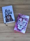 KIT CASAL Leão Rei Jesus e Leão Jesus Pink - ARC Letras Grandes Com Harpa E Indice KIT CASAL Leão Rei Jesus e Leão Jesus Pink - ARC Letras Grandes Com Harpa E Indice