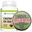 Kit Castanha 120 Cáps + Pomada Erva de Bicho - Status Verde
