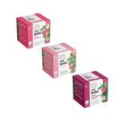 Kit Chá Leão Frutas Vermelhas + Morango + Hibisco/Sil