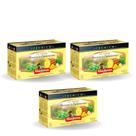 Kit Cha Mandiervas Premium 26G Abacaxi e Especiarias 60 Saches