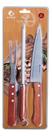 Kit Churrasco Xpert 3 Peças Faca Garfo Chaira Kit Churrasco Xpert 3 Peças Faca Garfo Chaira
