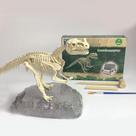 Kit científico Ceratosaurus Fossils Education Archaeology Kids