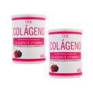 Kit Colágeno Hidrolisado em pó com Vit C 220g