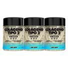 Kit Colágeno Tipo 2 Body Nutry 3x 60 Cápsulas Suplemento Alimentar