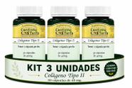 Kit Colágeno Tipo II 40 mg 30 Cápsulas 3 Unidades