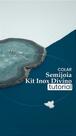 Kit Colar Divino Espírito Santo Madrepérola Aço Inox Semijoia Kit Colar Divino Espírito Santo Madrepérola Aço Inox Semijoia