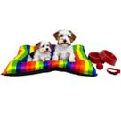 Kit Colchonete Arcoíris Pet Médio com Comedouro Coleira Bolinha Fofos Kit Colchonete Arcoíris Pet Médio com Comedouro Coleira Bolinha Fofos