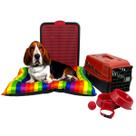 Kit Colchonete Arcoíris Pet Médio Sanitário Transporte Acessórios