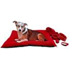 Kit Colchonete Pet Médio Mantinha Comedouro Coleira Bolinha