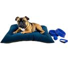 Kit Colchonete Suede Pet Médio com Comedouro Coleira Bolinha Fofos - Kit Colchonete Suede Pet Médio com Comedouro Coleira Bolinha Fofos -
