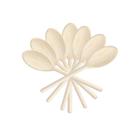 Kit Colheres de Madeira Eucalipto 24 cm - Stolf