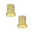 Kit com 02 Acabamentos para Registro C-44 Gold Ducon Metais