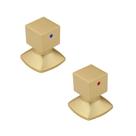 Kit com 02 Acabamentos para Registro C-46 Ouro Fosco Ducon Metais Kit com 02 Acabamentos para Registro C-46 Ouro Fosco Ducon Metais