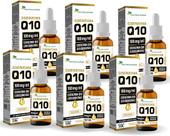 Kit Com 06 - Coenzima Q10 (100mg) 30ml Sabor Laranja Flora Nativa