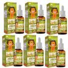 Kit Com 06 - Zintrix Zinco em Gotas 20ml Sabor Morango Kids Flora Nativa