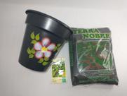 Kit Com 1 Terra Nobre 5Kg + 1 Vaso Redondo 27x28cm Preto Decorada + 1 PCT Sementes Manjericão 300Mg