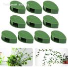 Kit com 10 Ganchos para Planta Trepadeira Adesivo Kit com 10 Ganchos para Planta Trepadeira Adesivo