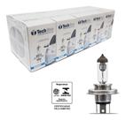 Kit Com 10 Lâmpadas H4 12v Halógena Comum