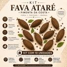 Kit com 10 Unidades Fava de Ataré Proteção Força Espiritual Uso Ritualístico Kit com 10 Unidades Fava de Ataré Proteção Força Espiritual Uso Ritualístico