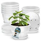 Kit com 10 vasos estilo barril de uísque de plástico Lifemaster 10"