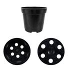 Kit com 100 Mini Vasos Plástico Pote 6 Perfeito para Mini Cactos, Suculentas e Plantas Pequenas - Capacidade de 80ml