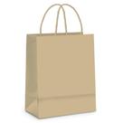 Kit com 100Un de Sacolas de Papel Kraft EXG Fundo Largo Biodegradável e Reciclável 38,5x33,5x21,5cm