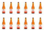 Kit Com 12 Cerveja Imigracao Hop Lager 355ml