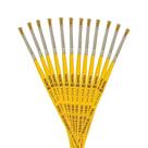 Kit Com 12 Pinceis Tigre Linha 815 Numero 02