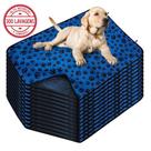 Kit com 12 Tapetes Higiênicos 100x70 Patinha Azul c/Ganchos - 300 Lavagens para cães - Alta Absorção