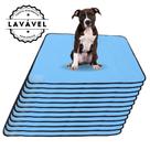 Kit com 12 Tapetinhos Alta Absorção para Pets 100x70 Azul - 200 Lavagens - Ecológico