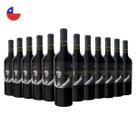 Kit com 12 Vinhos Chilenos Tinto Seco Carmenere Reserva 750ml Cuentos del Fuego