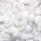 Kit com 1300 Pétalas de Rosas Artificiais Brancas Decoração, Eventos e Dia dos Namorados